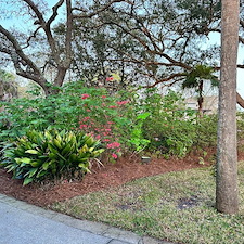 Revitalize-Your-Landscape-Major-Cleanup-Pinestraw-Perfection- 12